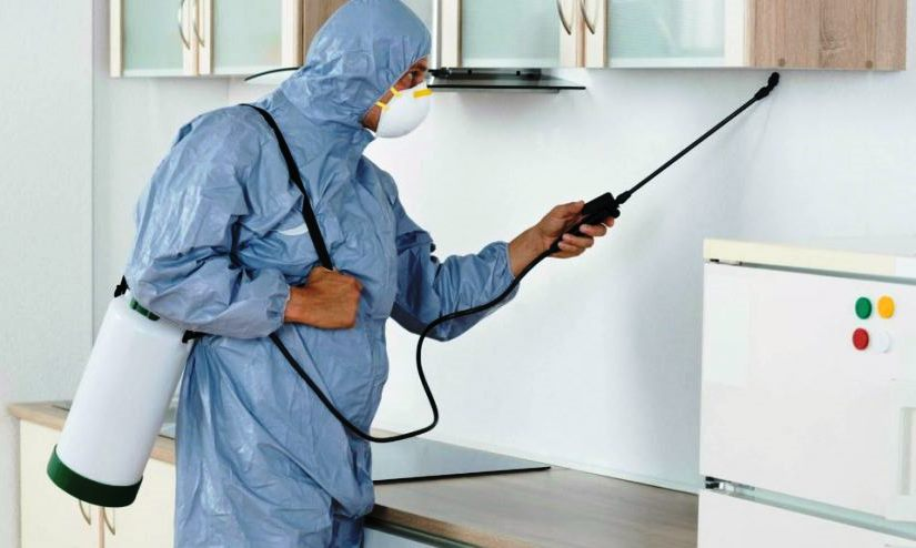 Why You Should Hire a Professional When It Comes to Pest Control