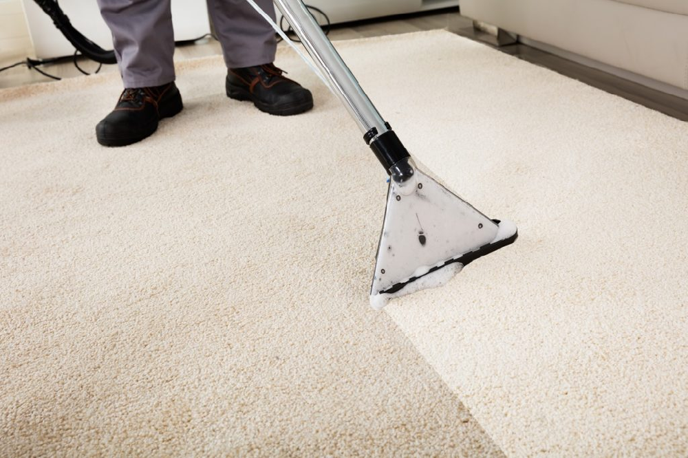 How Much Does Professional Carpet Cleaning Cost?