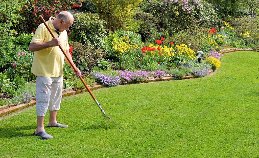 Keep Your Lawn Always Ready With These Simple Steps