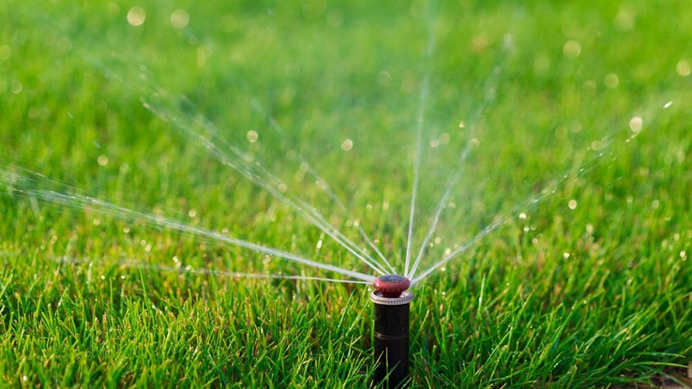 Top 3 Watering Tips for Lawn Care Management