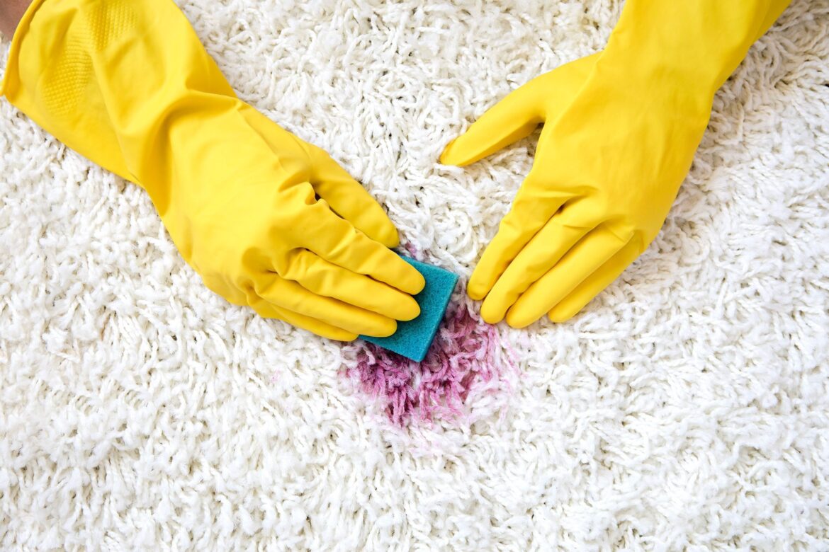 5 Types of Carpet Stains & How to Remove Them