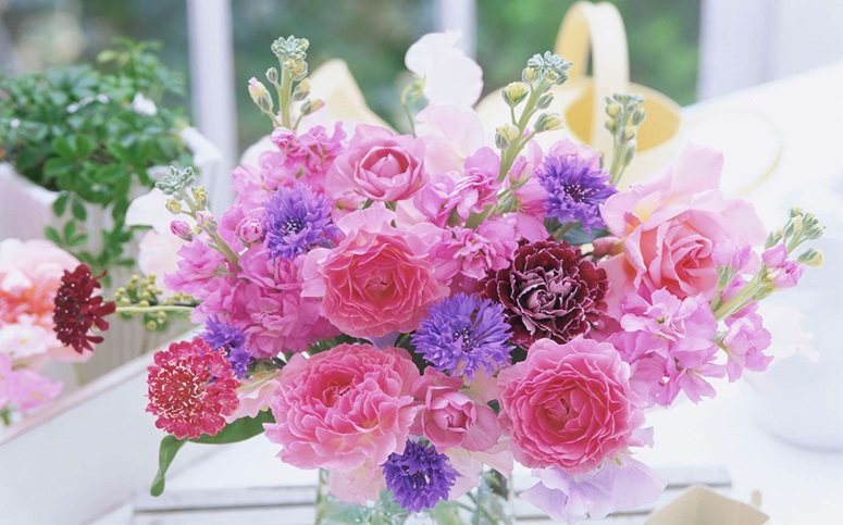 15 Tips to Choose Flowers for Every Occasion