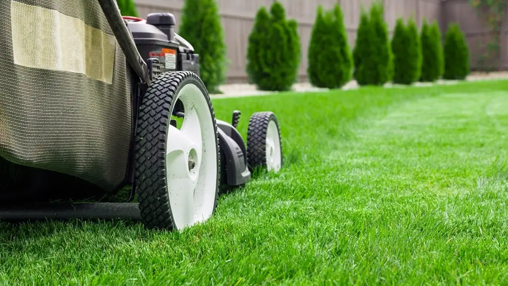 Knowing When It’s Time for Landscaping Services in Minnesota