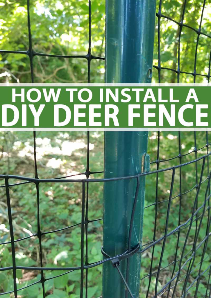 How to Install a Deer Fence to Keep Wildlife Out of the Garden