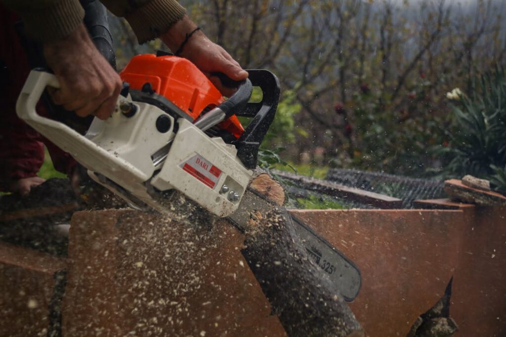 Is Forester Tree Care the Most Reliable Stump Grinding Service in Tool, Texas?
