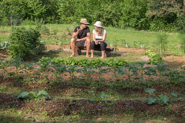 permaculture