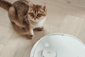 Reducing Allergens in Your Home with the Help of a Robot Vacuum