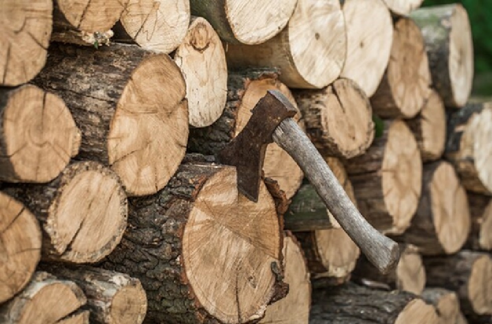 Where to Find High-Quality Firewood in Milwaukee and Wisconsin